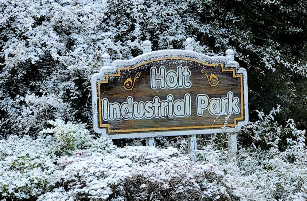 Bang Florida của Mỹ đón tuyết năm thứ hai liên tiếp - ảnh 1