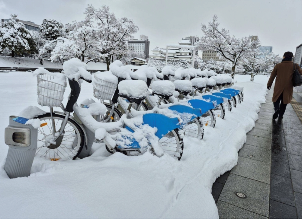 Nhật Bản đối mặt với đợt tuyết dày kéo dài, giao thông tê liệt - ảnh 1