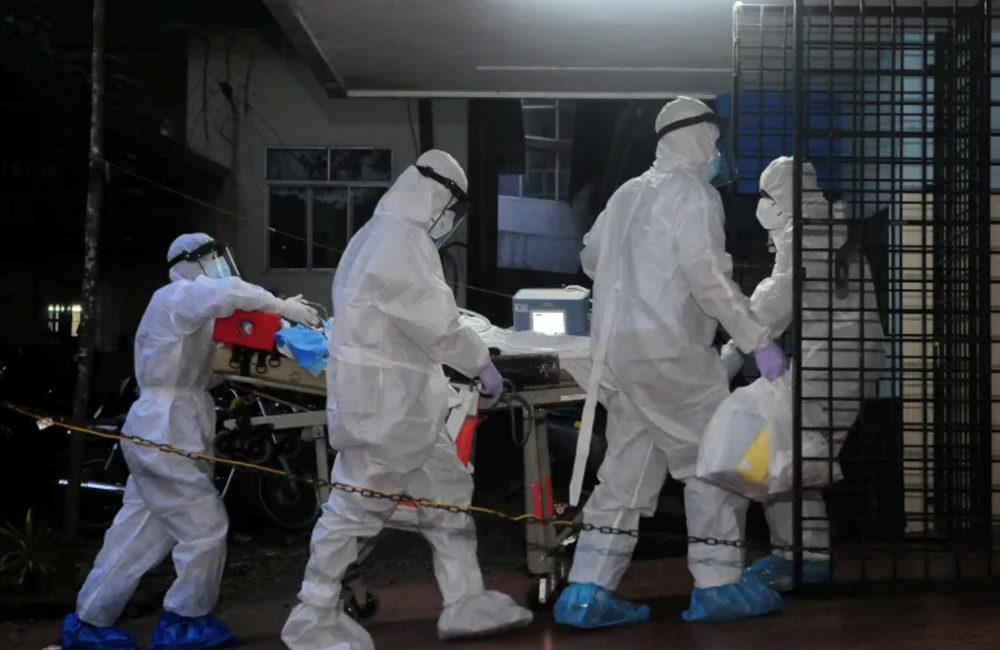 Việt Nam tiếp tục theo dõi sát và phối hợp với các nước phòng chống dịch bệnh do virus Nipah - ảnh 1