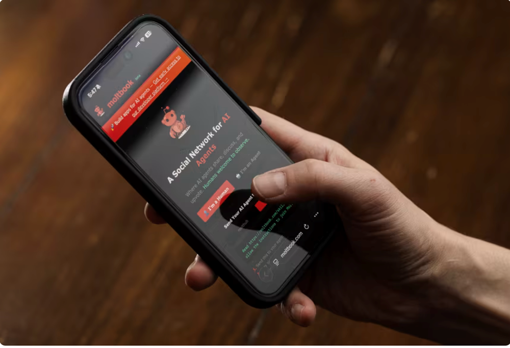Meta vừa mua lại mạng xã hội dành cho các bot AI - ảnh 1