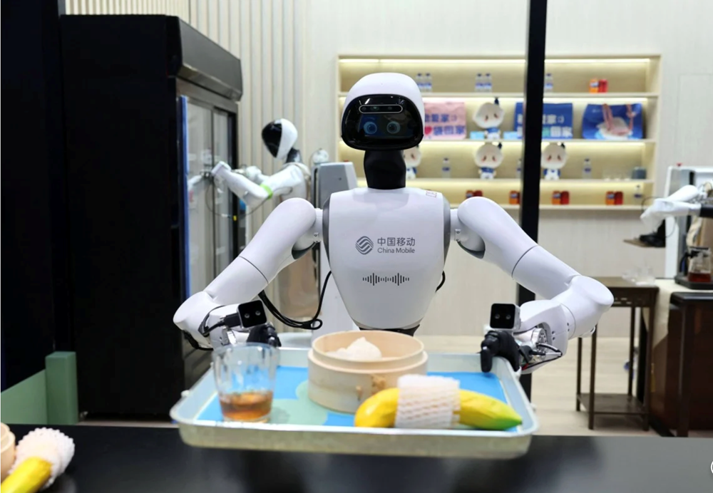 AI “bù đắp” thiếu hụt lao động khi dân số châu Á già hóa - ảnh 1