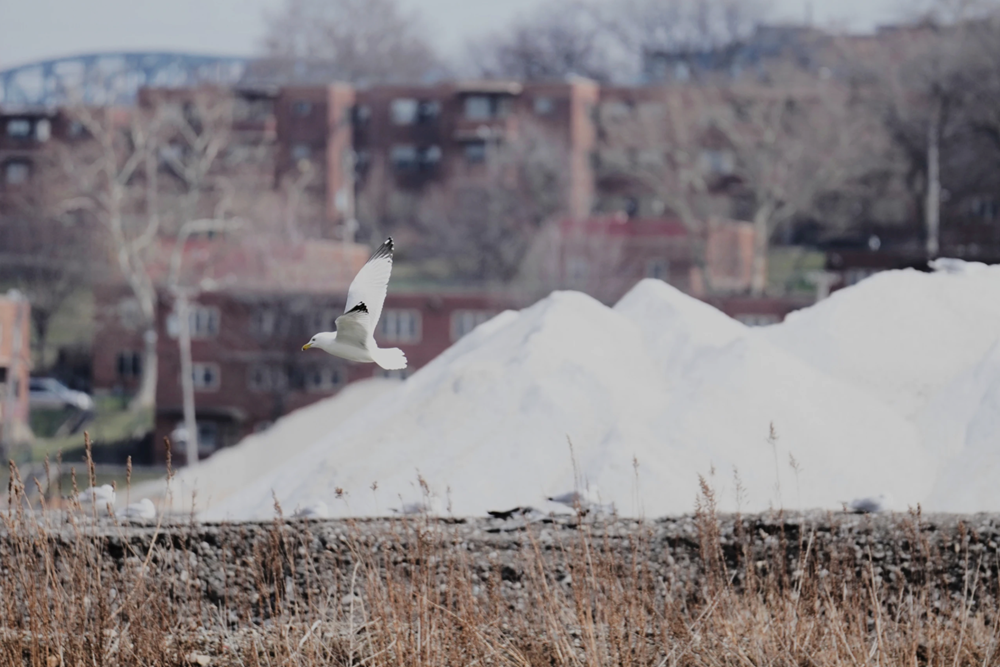 Mỏ muối khổng lồ ẩn sâu dưới hồ Erie - ảnh 3