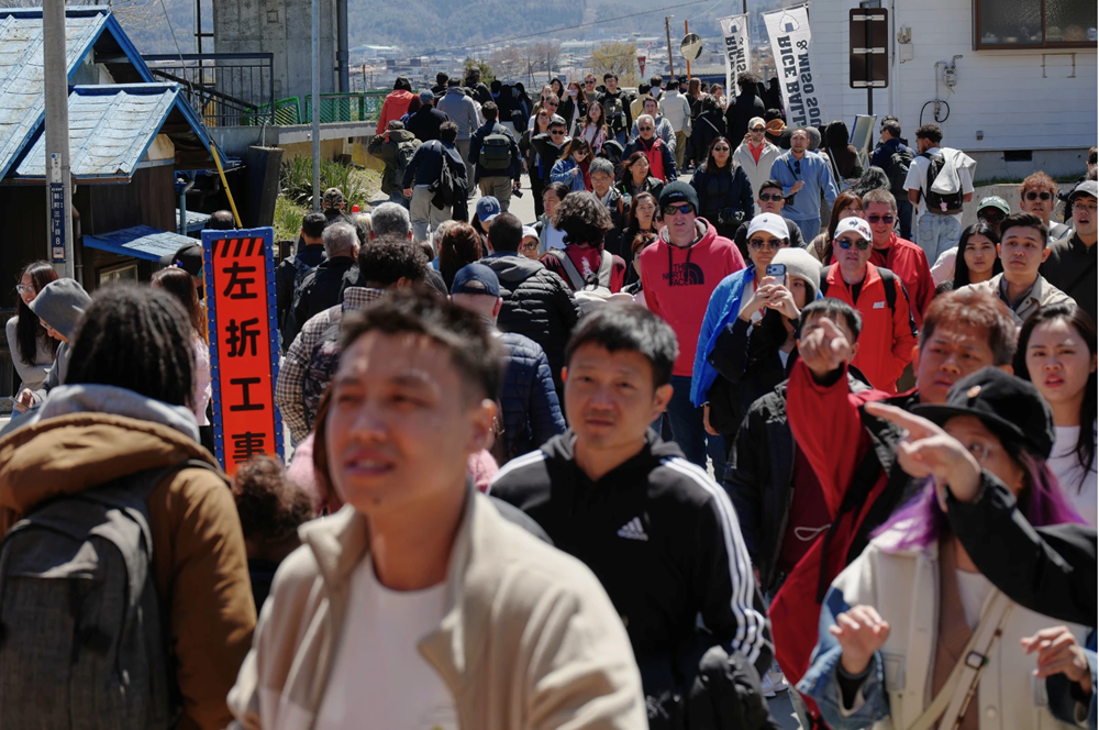 Phiền toái mùa hoa anh đào Nhật Bản - ảnh 1