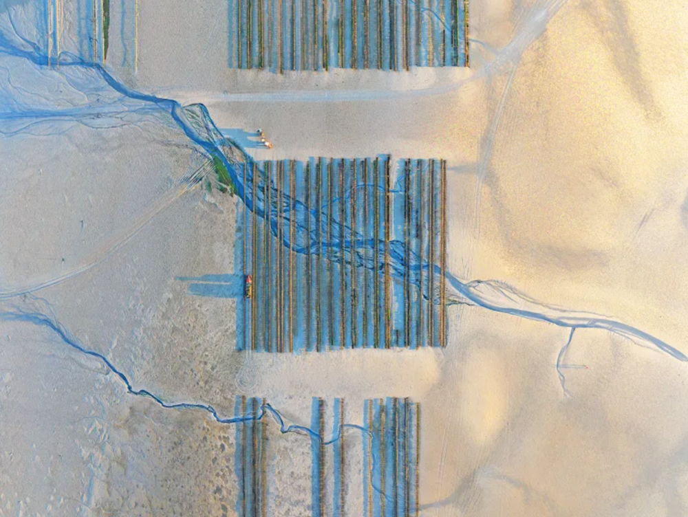 Những bức ảnh đẹp nhất tại Giải thưởng Nhiếp ảnh Thế giới Sony 2026 - ảnh 5