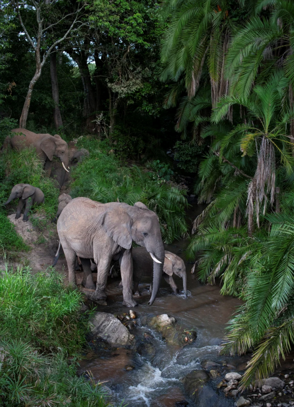 Những bức ảnh đẹp nhất tại Giải thưởng Nhiếp ảnh Thế giới Sony 2026 - ảnh 10