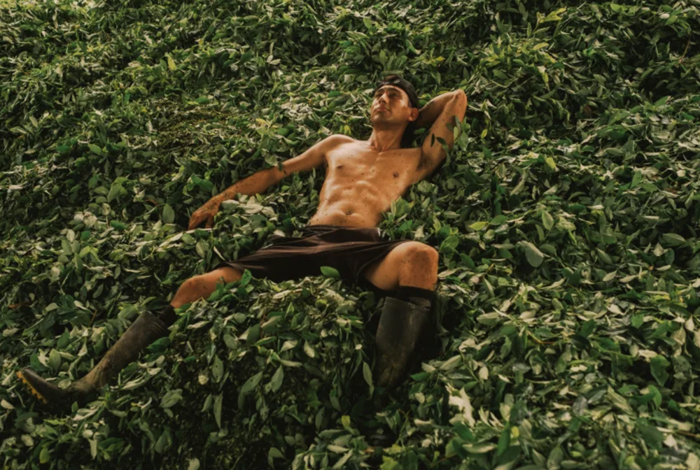 Những bức ảnh đẹp nhất tại Giải thưởng Nhiếp ảnh Thế giới Sony 2026 - ảnh 6