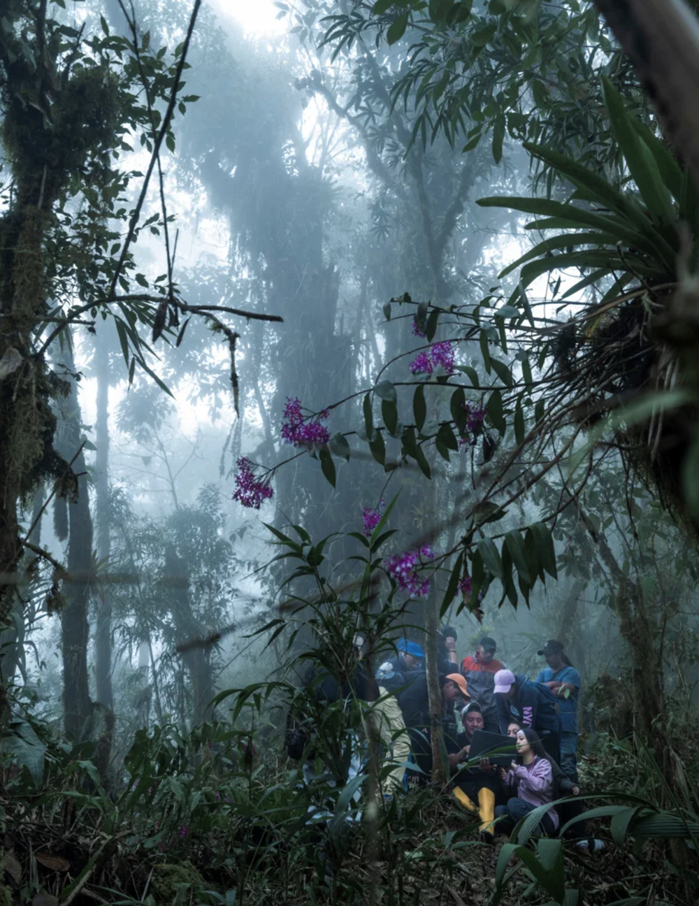 Những bức ảnh đẹp nhất tại Giải thưởng Nhiếp ảnh Thế giới Sony 2026 - ảnh 7