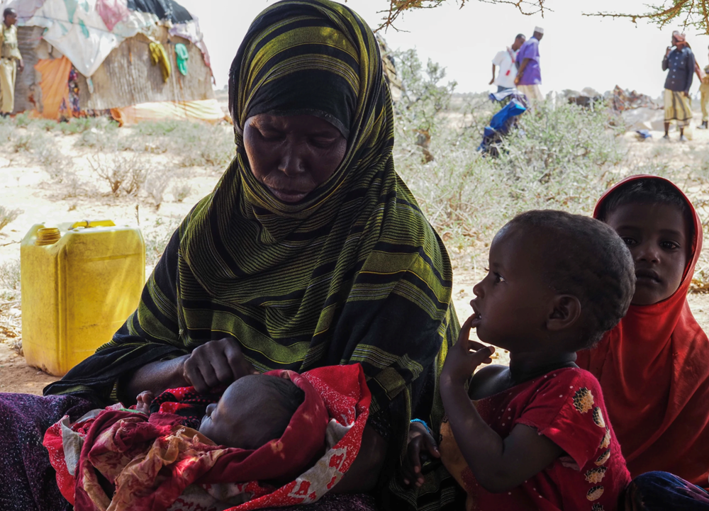 Somalia đối mặt với một đợt hạn hán nghiêm trọng - ảnh 1