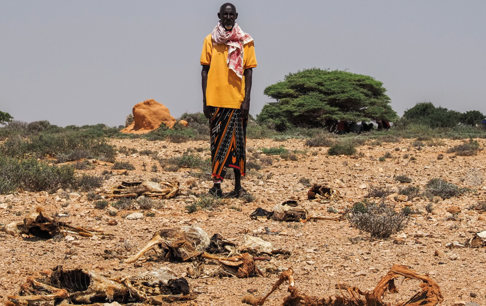 Somalia đối mặt với một đợt hạn hán nghiêm trọng - ảnh 2