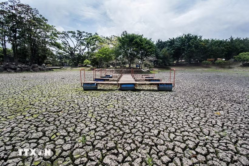 Siêu El Niño mạnh kỷ lục và những tác động khó lường - ảnh 1