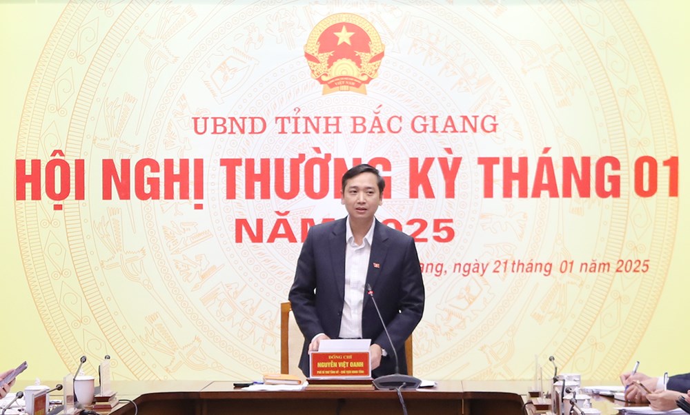 Bắc Giang: Tháo gỡ khó khăn đẩy mạnh phát triển kinh tế - xã hội - ảnh 3