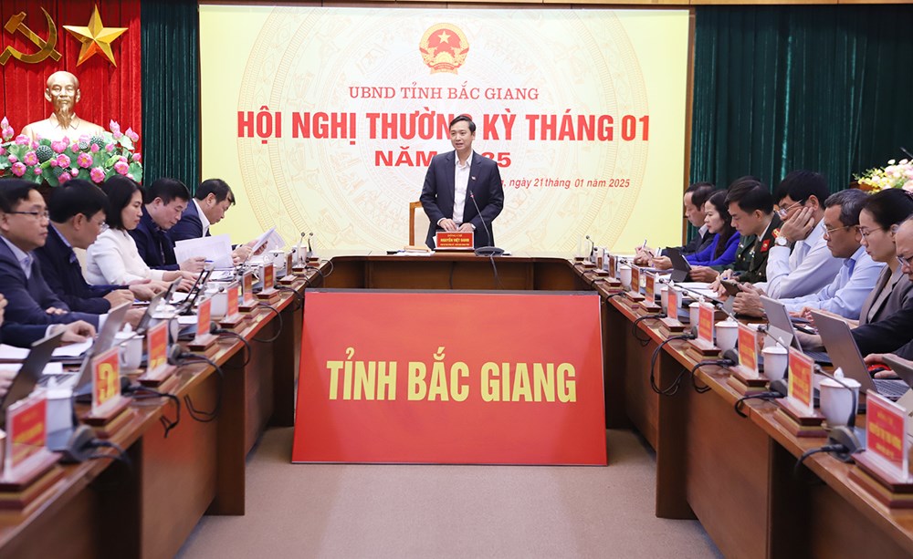 Bắc Giang: Tháo gỡ khó khăn đẩy mạnh phát triển kinh tế - xã hội - ảnh 1