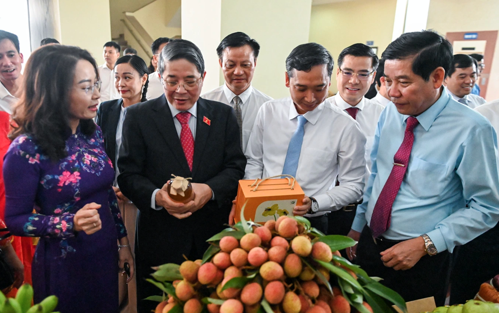 Chủ tịch Bắc Giang viết thư ngỏ lan toả giá trị thương hiệu vải thiều - ảnh 1