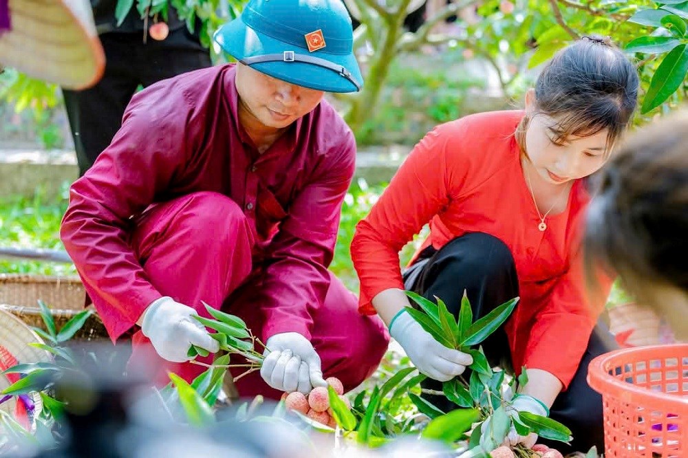 Thúc đẩy du lịch trải nghiệm miệt vườn mùa vải chín - ảnh 1