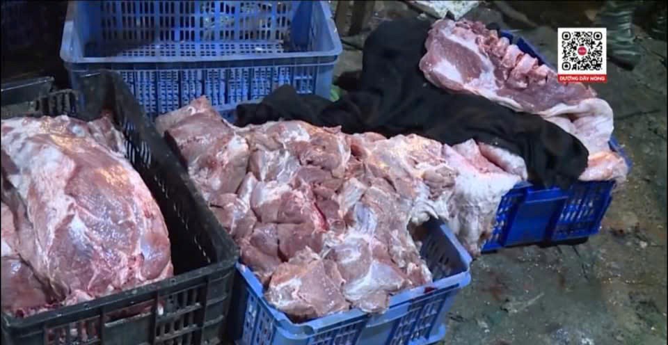 Hà Nội triệt phá đường dây giết mổ, tiêu thụ lợn bệnh với giá 50.000 – 70.000 đồng/kg - ảnh 6