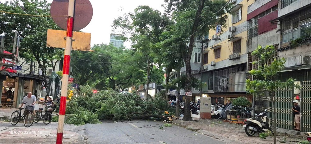 Hà Nội: Nhân dân cùng lực lượng chức năng dọn cây xanh đổ, gãy sau cơn giông - ảnh 1