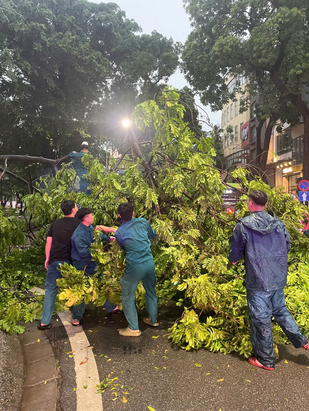 Hà Nội: Nhân dân cùng lực lượng chức năng dọn cây xanh đổ, gãy sau cơn giông - ảnh 4