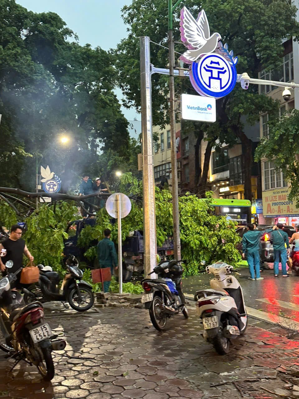 Hà Nội: Nhân dân cùng lực lượng chức năng dọn cây xanh đổ, gãy sau cơn giông - ảnh 5