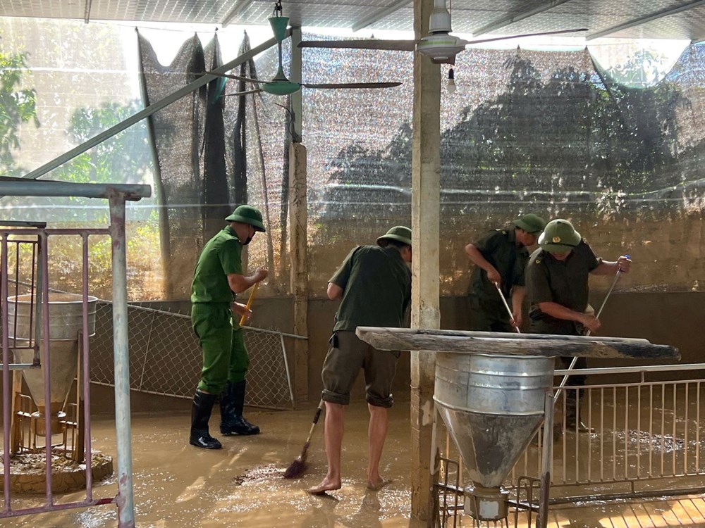 Bắc Ninh: Đồng hành cùng người dân khắc phục hậu quả ngập lụt - ảnh 6