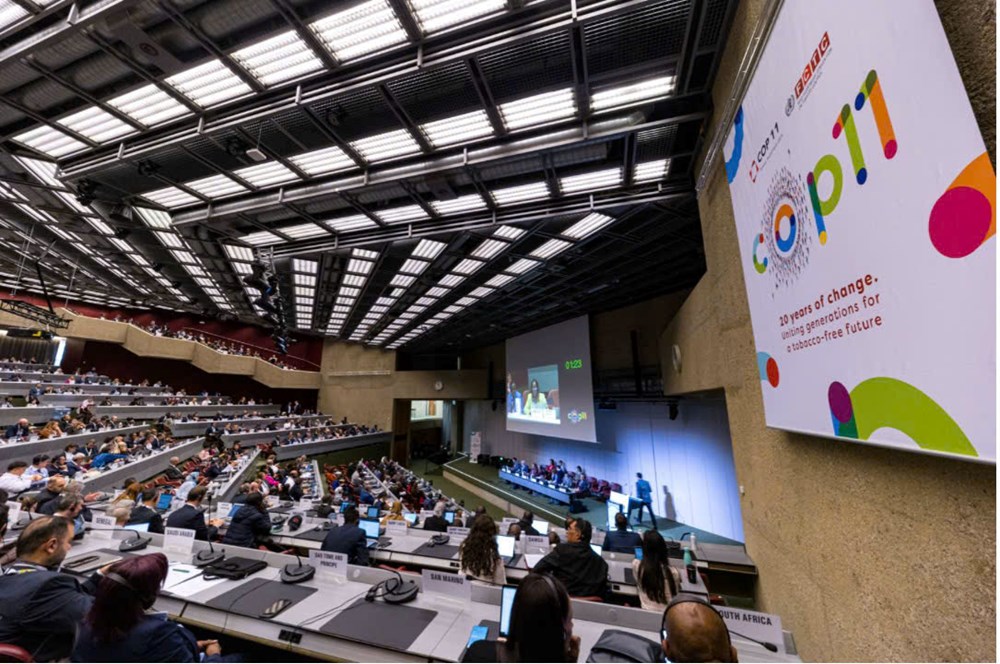 Lãnh đạo 162 quốc gia dự cuộc họp cấp cao ứng phó “đại dịch thuốc lá toàn cầu” - ảnh 4