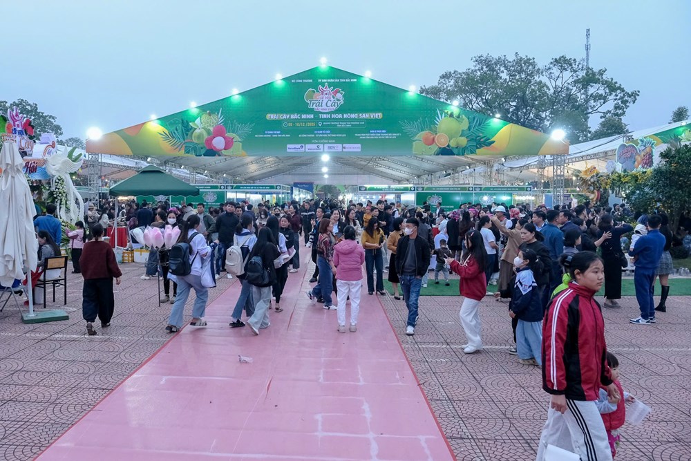 Lễ hội trái cây tỉnh Bắc Ninh: Tôn vinh nông sản, lan tỏa bản sắc - ảnh 6