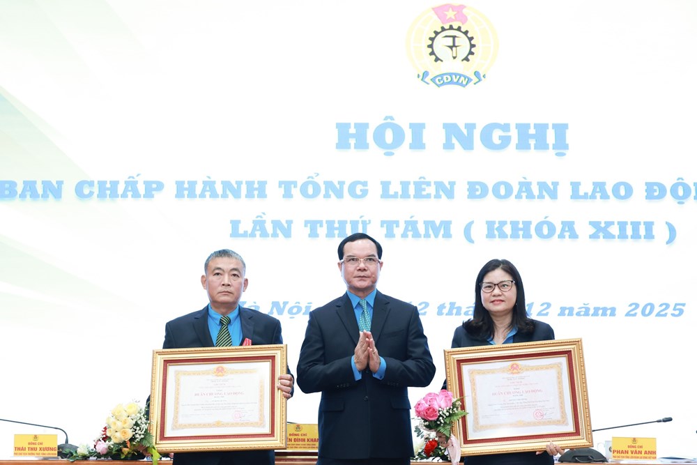 Hội nghị Ban Chấp hành Tổng LĐLĐ Việt Nam lần thứ 8 (khoá VIII) - ảnh 1