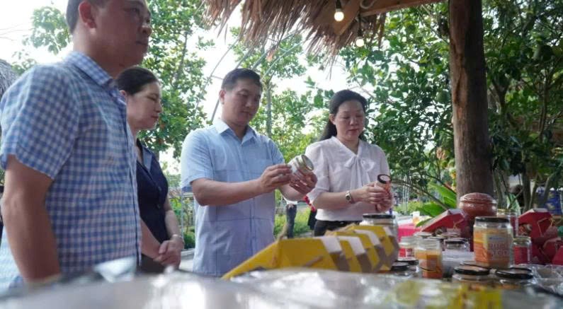 Bắc Ninh: Thúc đẩy liên kết và phát triển nông nghiệp xanh - ảnh 1