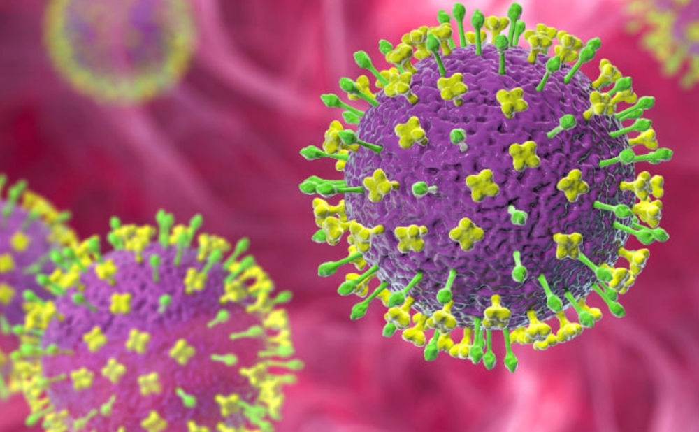 Làm thế nào để phòng lây nhiễm virus Nipah? - ảnh 1