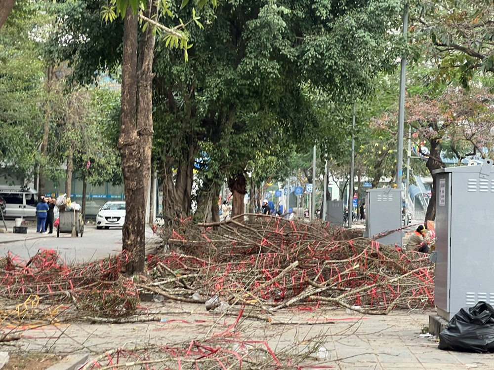 Người Hà Nội “hái lộc” từ cành đào bỏ đi - ảnh 2