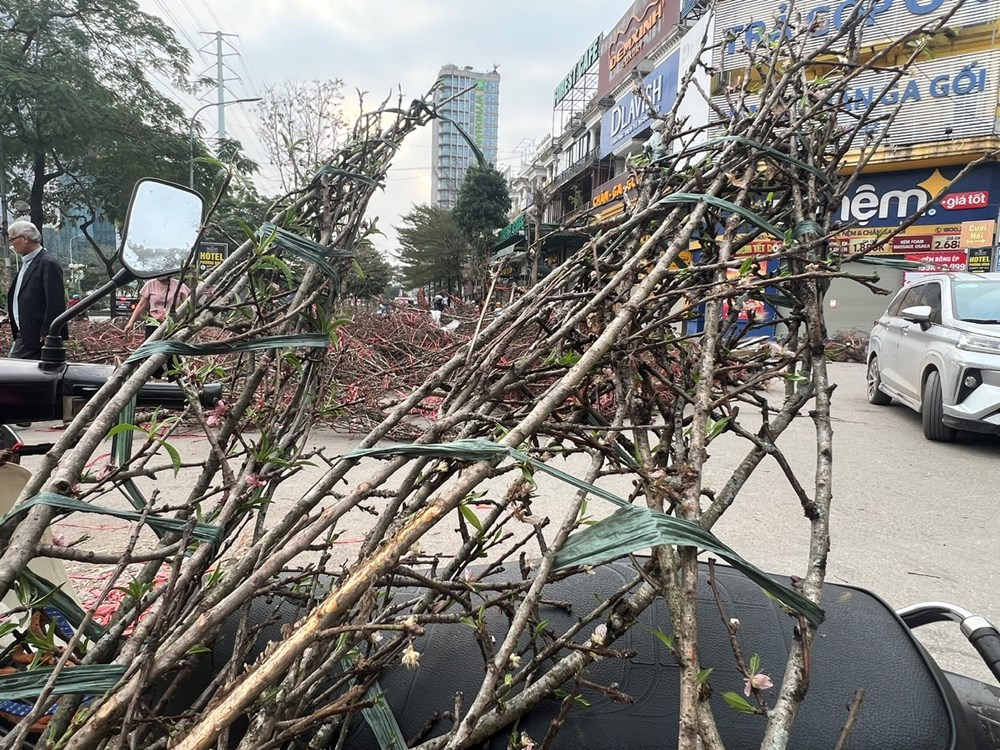 Người Hà Nội “hái lộc” từ cành đào bỏ đi - ảnh 6