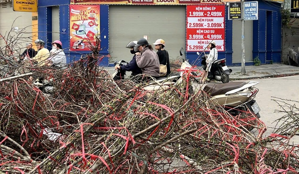 Người Hà Nội “hái lộc” từ cành đào bỏ đi - ảnh 4