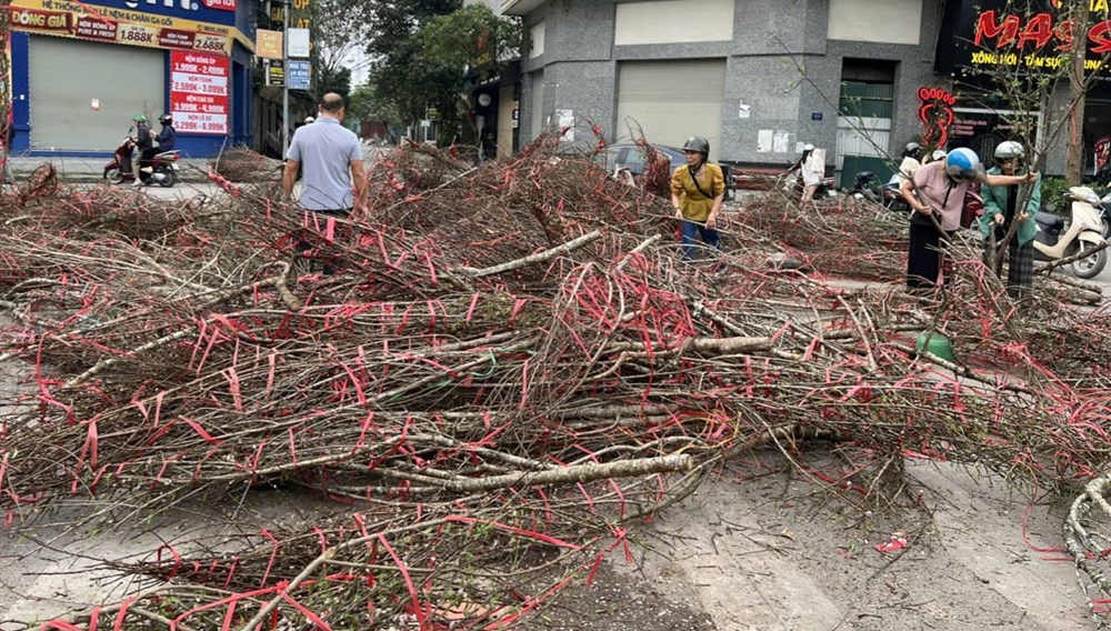 Người Hà Nội “hái lộc” từ cành đào bỏ đi - ảnh 1