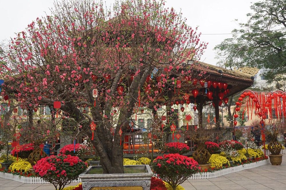 Du Xuân những ngày cuối của kỳ nghỉ Tết Nguyên đán Bính Ngọ - ảnh 2