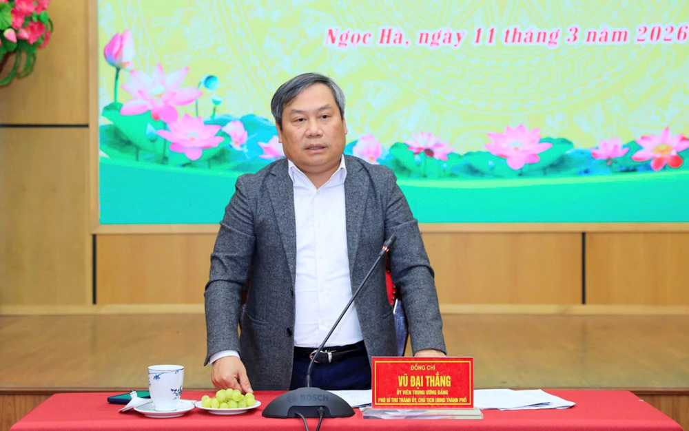 Chủ tịch UBND TP Hà Nội: Bảo đảm an ninh, an toàn tại các điểm bỏ phiếu và cử tri đi bầu cử - ảnh 2