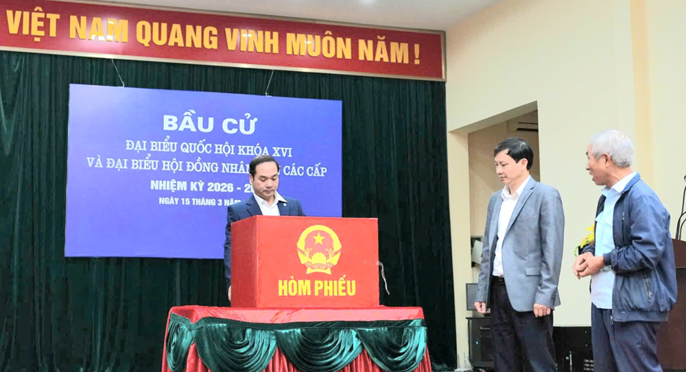 Bản đồ số tra cứu khu vực bầu cử - ảnh 1