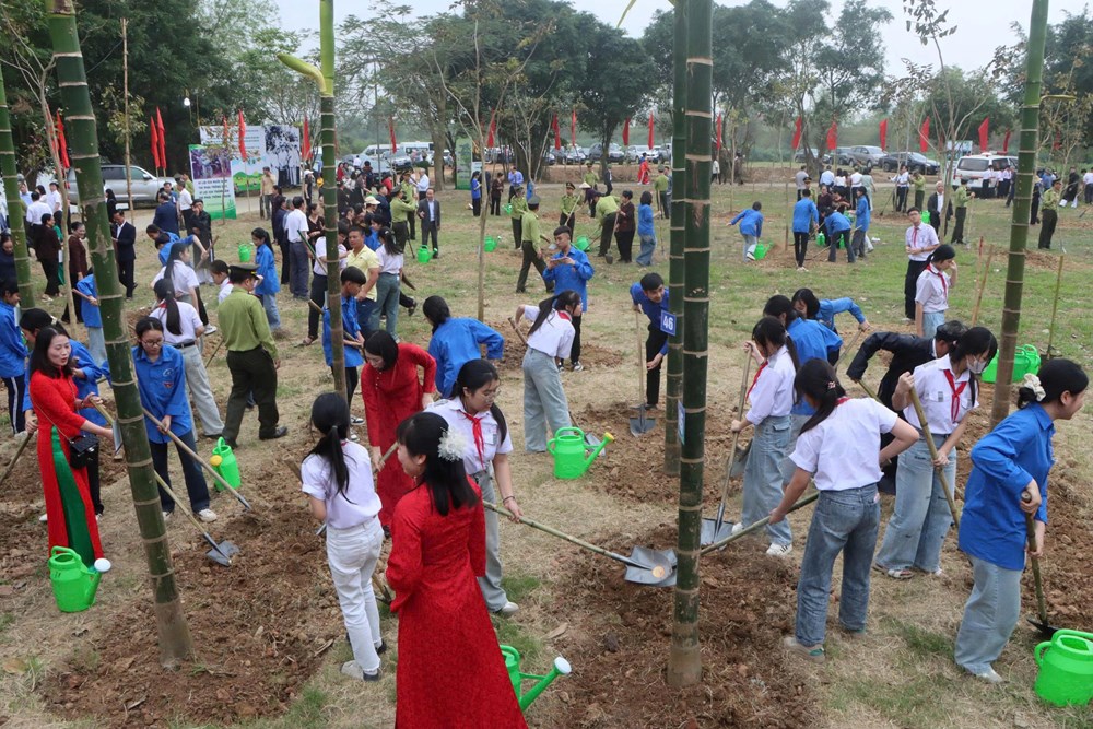 Nhân rộng mô hình “Vườn cây Người cao tuổi”, giảm phát thải khí nhà kính - ảnh 3
