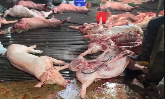 Kiểm tra việc thực hiện quy định an toàn thực phẩm tại Hà Nội và Ninh Bình - ảnh 1