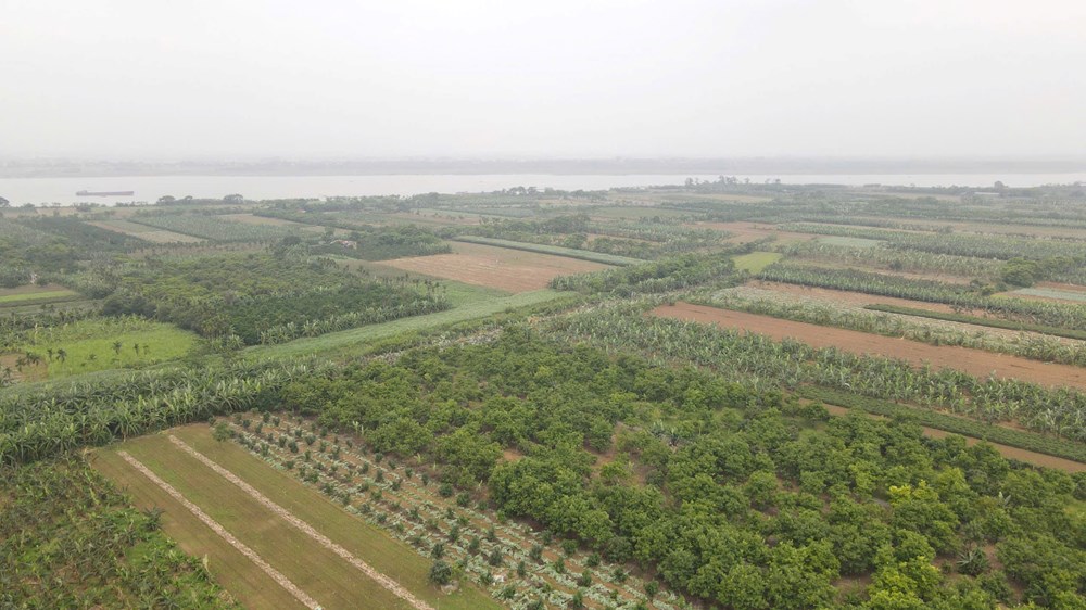 Phục dựng miếu/đền Thủy Thần ở Minh Châu: Khôi phục ký ức văn hóa và mở lối phát triển mới - ảnh 6