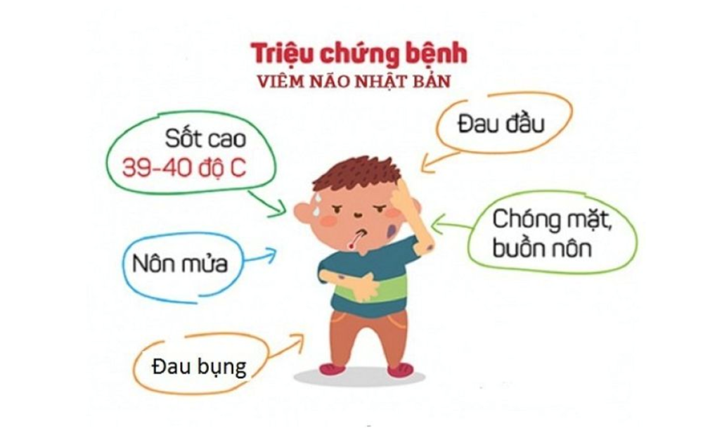 Bệnh viêm não Nhật Bản nguy hiểm với tỉ lệ tử vong và biến chứng cao - ảnh 1