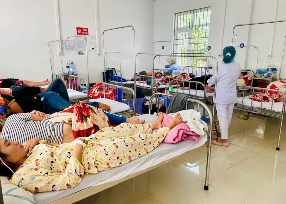 Điều tra, xử lý vụ nghi ngờ ngộ độc bánh mì trên địa bàn tỉnh Gia Lai - ảnh 1