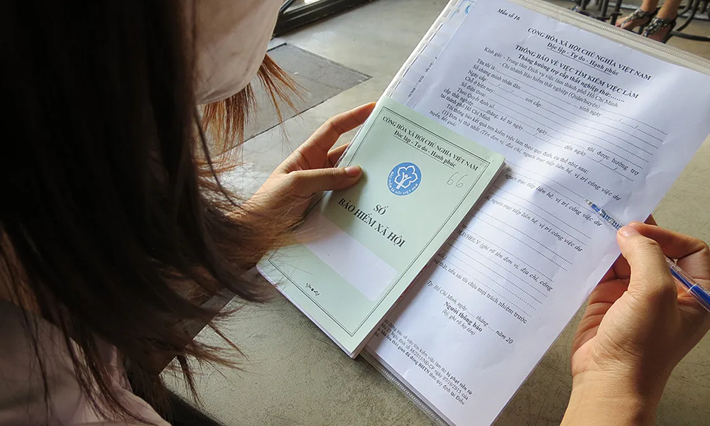 Kiểm toán Nhà nước chỉ ra những vi phạm, sai sót trong việc thực hiện Nghị định 178 - ảnh 1