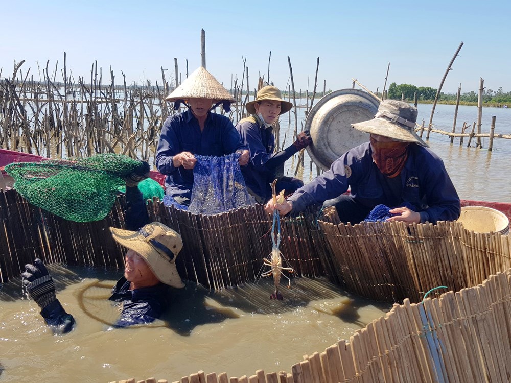 Tuần du lịch trải nghiệm bãi Sậy sông Đầm - địa đạo Kỳ Anh - ảnh 1