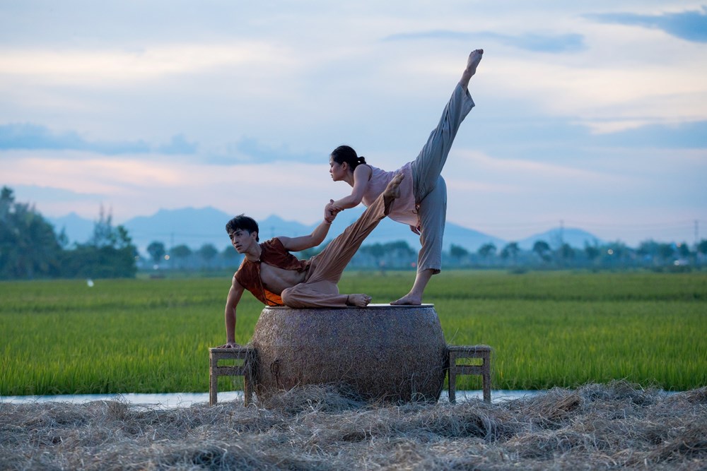 “Rơm” trên cánh đồng lúa chín Hội An - ảnh 3