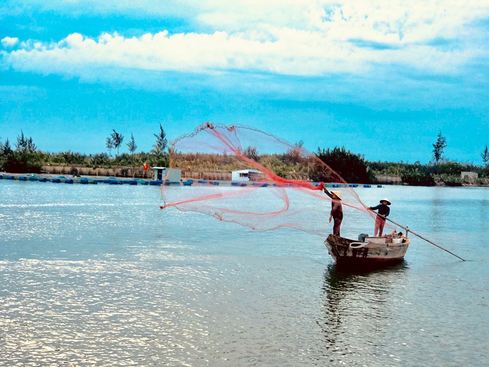 Lễ hội Cổ Cò lần đầu tiên tại Hội An sẽ diễn ra vào ngày 31.8 - ảnh 2
