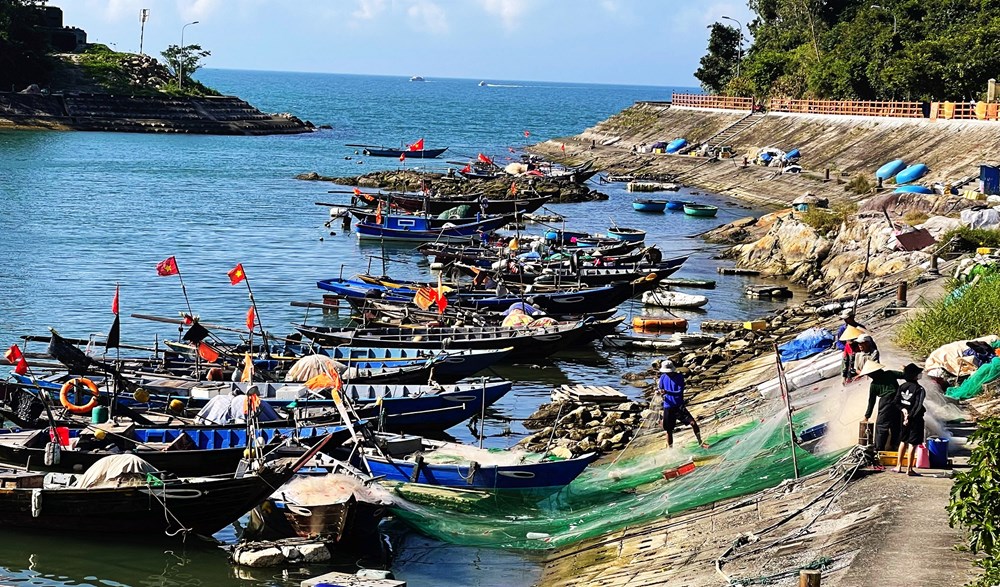 Ứng phó với bão Trà Mi, Quảng Nam cấm biển từ 10 giờ ngày 25.10  - ảnh 1