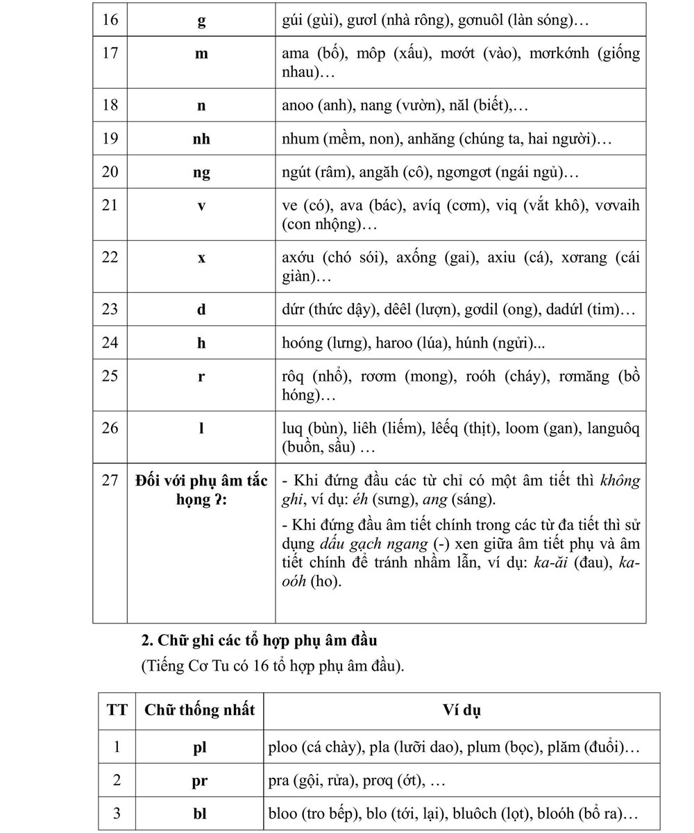 Phê chuẩn bộ chữ viết Cơ Tu đưa vào giảng dạy - ảnh 2