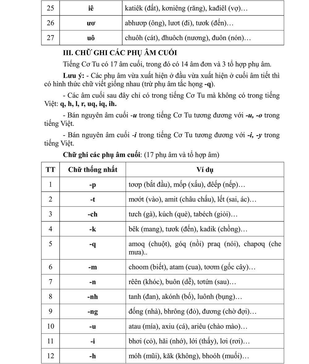 Phê chuẩn bộ chữ viết Cơ Tu đưa vào giảng dạy - ảnh 4