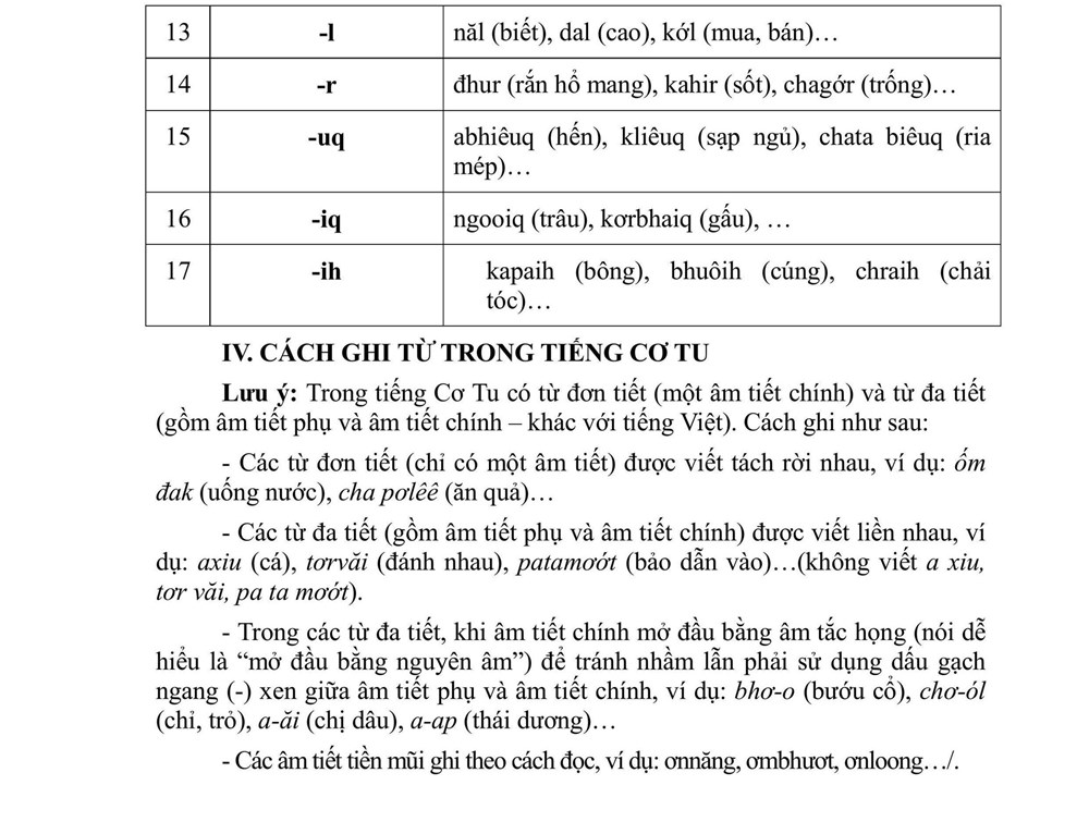 Phê chuẩn bộ chữ viết Cơ Tu đưa vào giảng dạy - ảnh 5