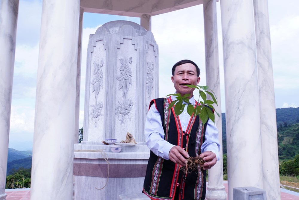 Tri thức dân gian về sâm Ngọc Linh là Di sản văn hóa phi vật thể quốc gia - ảnh 2