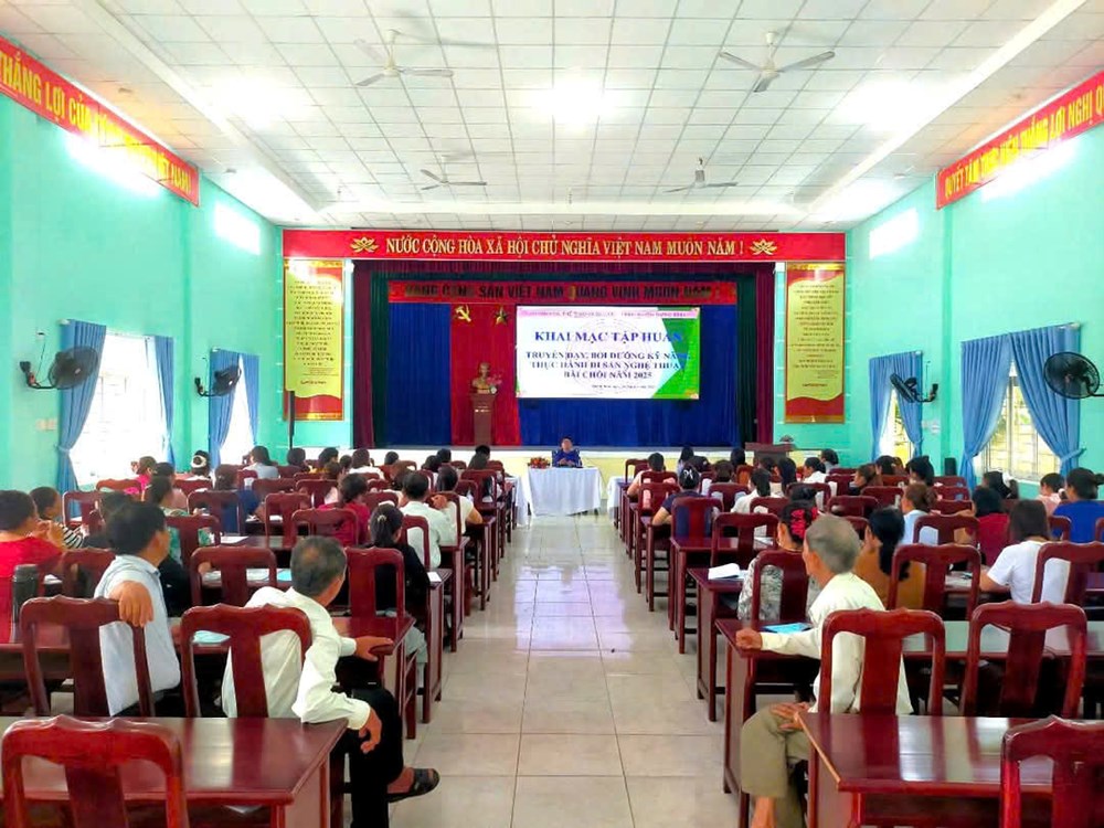 Bồi dưỡng kỹ năng thực hành di sản nghệ thuật Bài chòi - ảnh 1